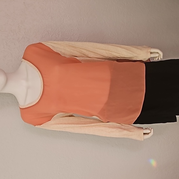 3/$30 VTG UMGEE Blush Sheer Chiffon Long Sleeve High-Low Tunic Blouse FLAWED - Picture 3 of 7